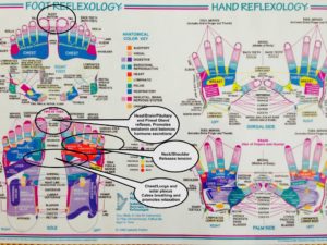 Essential Oil Reflexology Chart